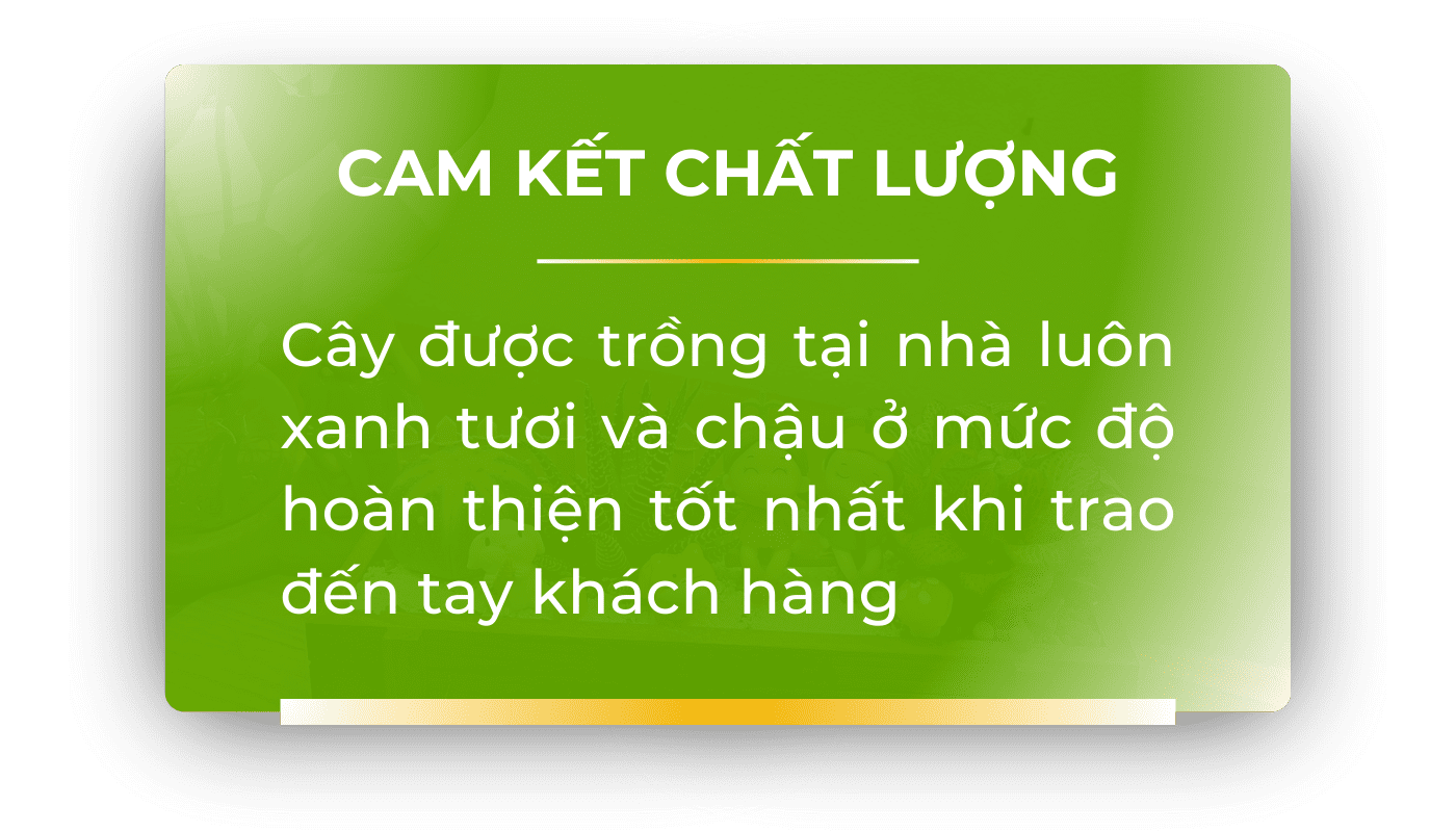 cam-ket-chat-luong