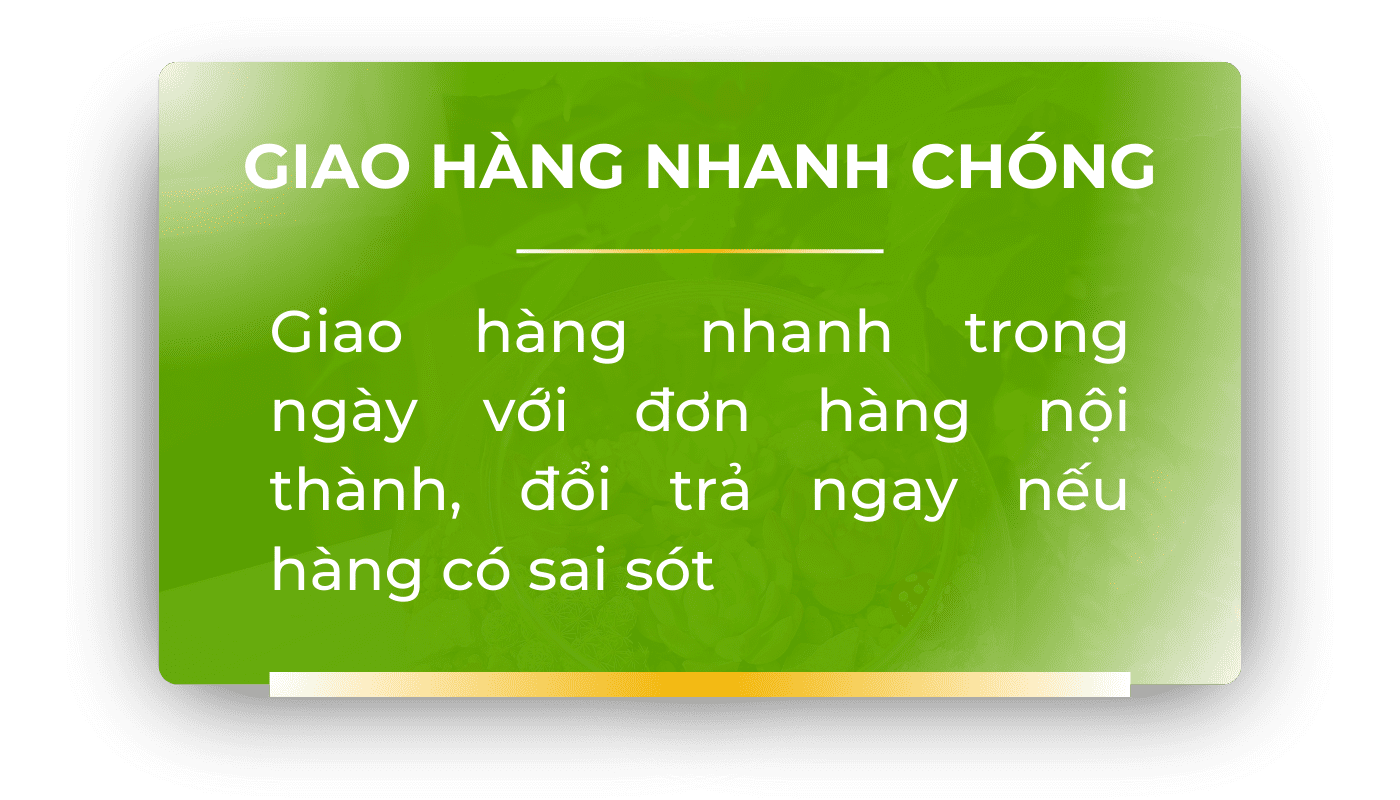 giao-hang-nhanh-chong