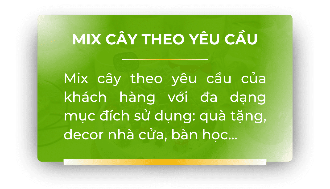 mix-cay-theo-yeu-cau