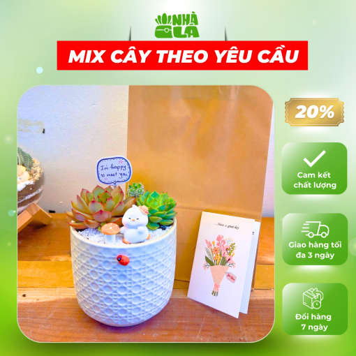 cay-canh-trang-tri-sen-da