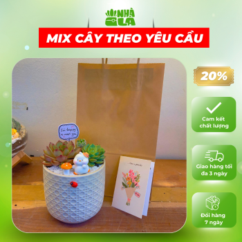 cay-canh-trang-tri-sen-da