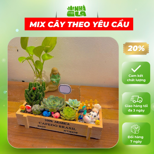 cay-de-ban-mix-nhieu-loai