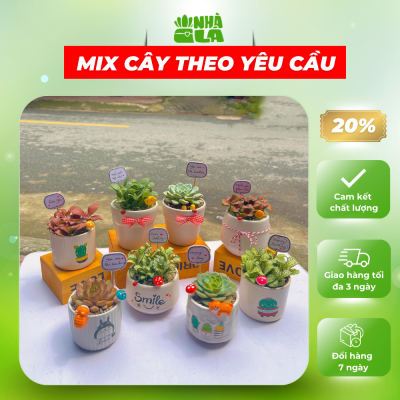 cay-canh-trang-tri