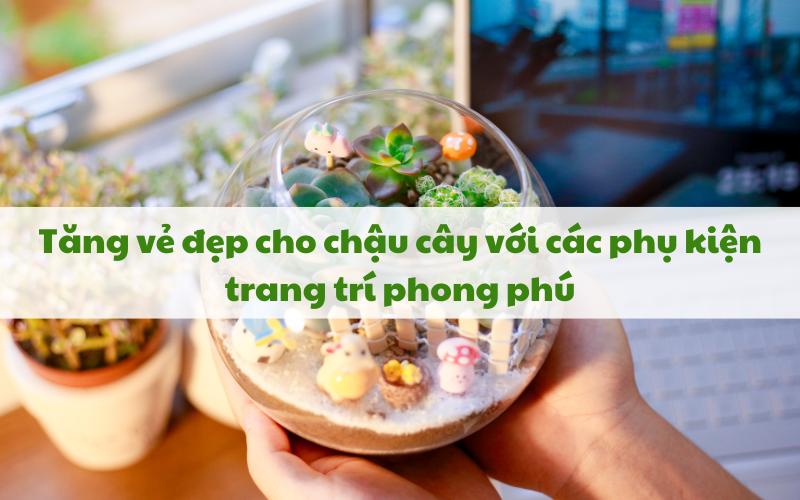 Tăng vẻ đẹp cho chậu cây với các phụ kiện trang trí phong phú