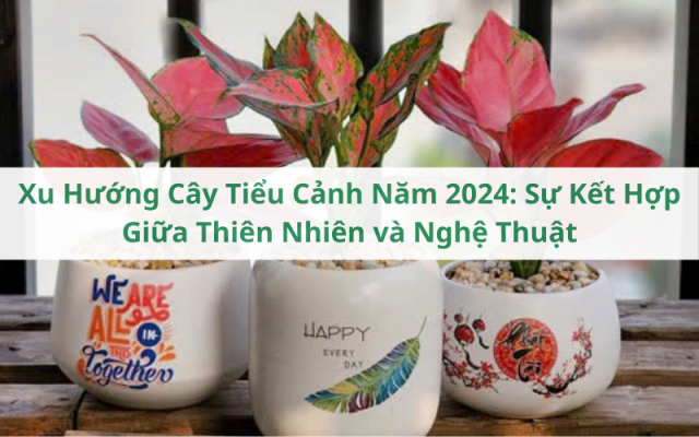 Xu Hướng Cây Tiểu Cảnh Năm 2024: Sự Kết Hợp Giữa Thiên Nhiên và Nghệ Thuật