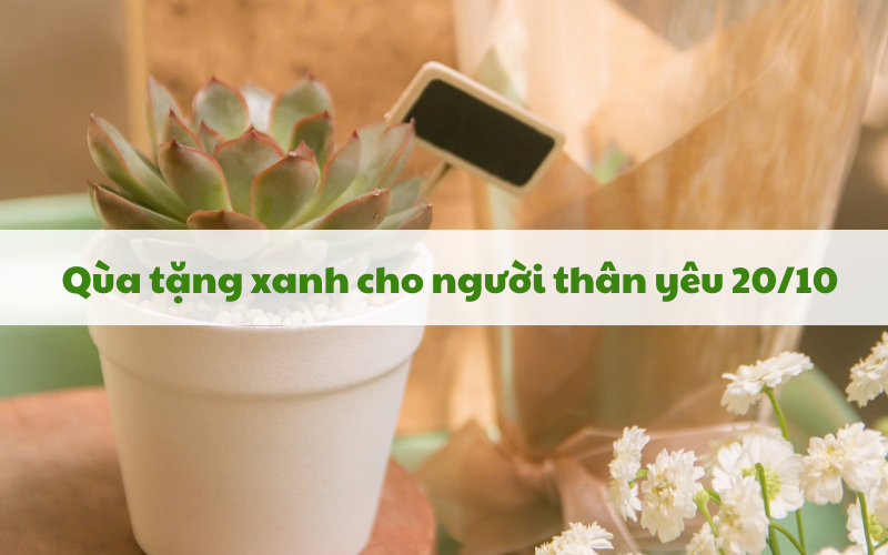 Quà tặng xanh cho người thân yêu 20/10