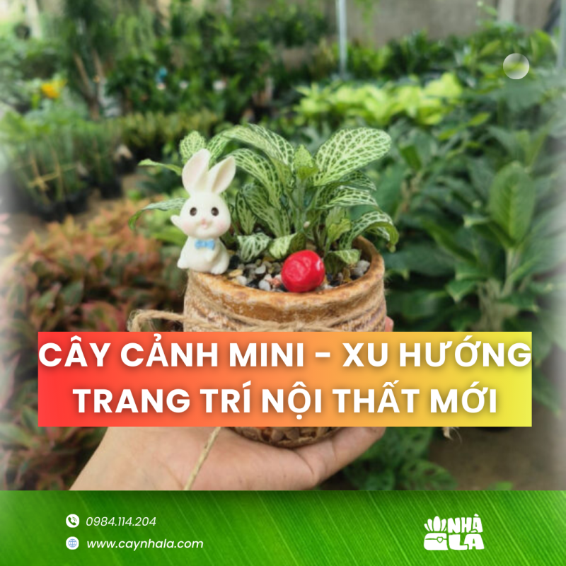 Cây cảnh mini - Xu hướng trang trí nội thất mới